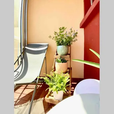 公寓 Superbe 4 Couchages Avec Terrasse - Clim - 50m De La