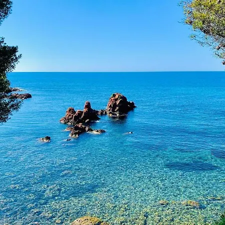 Superbe 4 Couchages Avec Terrasse - Clim - 50m De La 公寓 Saint-Raphaël